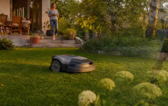 Mähroboter fährt am Abend über einen Rasen im Familiengarten; Thema Stihl iMow, Schwerpunkt Testkriterien; Umsetzung.