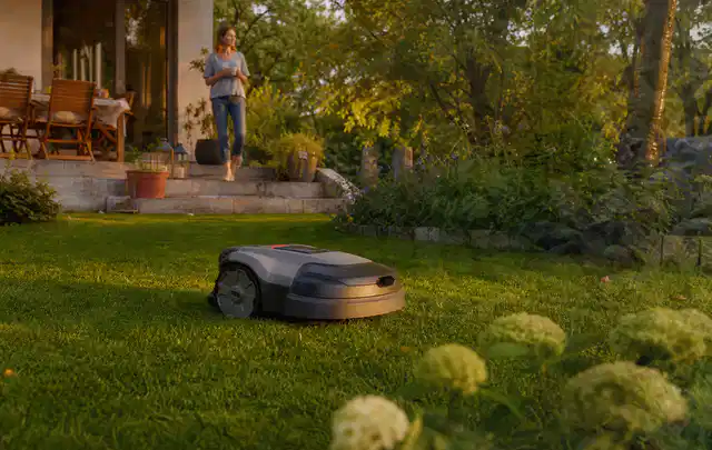 Mähroboter fährt am Abend über einen Rasen im Familiengarten; Thema Stihl iMow, Schwerpunkt Vergleich; Ausgangslage.