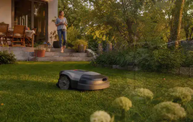 Mähroboter fährt am Abend über einen Rasen im Familiengarten; Thema Stihl iMow, Schwerpunkt Wartung; Ergebnis.