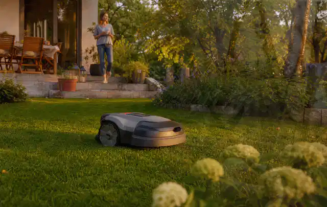 Mähroboter fährt am Abend über einen Rasen im Familiengarten; Thema Stihl iMow, Schwerpunkt Winterlager; Praxisalltag.