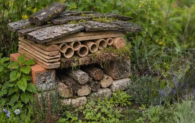 Naturnaher Unterschlupf aus Holz Rinde und Pflanzenstängeln im Garten; Thema Terrasse, Schwerpunkt Bepflanzung; Ergebnis.