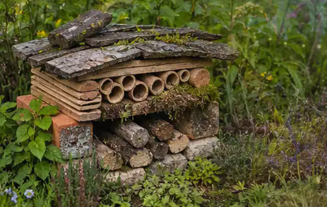 Naturnaher Unterschlupf aus Holz Rinde und Pflanzenstängeln im Garten; Thema Terrasse, Schwerpunkt Privatsphäre; Umsetzung.