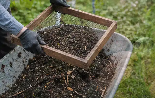 Behandschuhte Hände sieben reifen Kompost über einer Gartenschubkarre; Thema Thymian, Schwerpunkt Balkongarten; Umsetzung.
