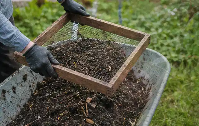 Behandschuhte Hände sieben reifen Kompost über einer Gartenschubkarre; Thema Thymian, Schwerpunkt Saisonkalender; Umsetzung.