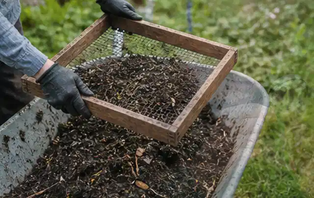 Behandschuhte Hände sieben reifen Kompost über einer Gartenschubkarre; Thema Tomaten, Schwerpunkt Einsteigerwissen; Praxisalltag.