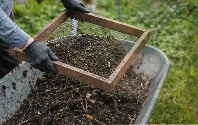 Behandschuhte Hände sieben reifen Kompost über einer Gartenschubkarre; Thema Tomatenhaus, Schwerpunkt Dimensionierung; Ausgangslage.