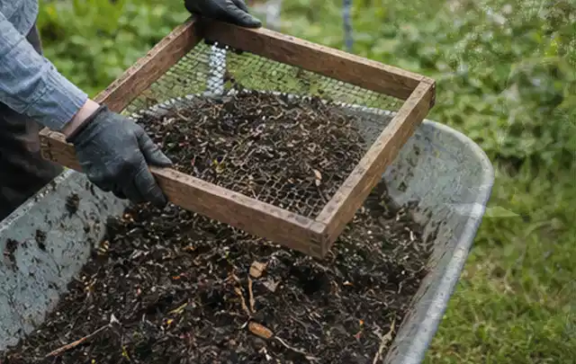 Behandschuhte Hände sieben reifen Kompost über einer Gartenschubkarre; Thema Tomatenhaus, Schwerpunkt DIY; Praxisalltag.