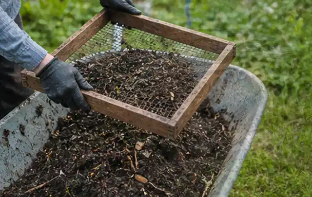 Behandschuhte Hände sieben reifen Kompost über einer Gartenschubkarre; Thema Tomatenhaus, Schwerpunkt Gestaltung; Praxisalltag.