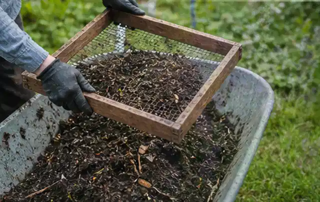 Behandschuhte Hände sieben reifen Kompost über einer Gartenschubkarre; Thema Tomatenhaus, Schwerpunkt Planung; Ausgangslage.