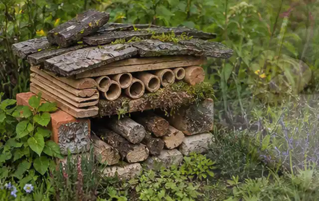 Naturnaher Unterschlupf aus Holz Rinde und Pflanzenstängeln im Garten; Thema Trauermücken, Schwerpunkt Fehlerhilfe; Kontrolle.
