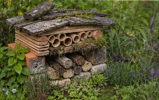 Naturnaher Unterschlupf aus Holz Rinde und Pflanzenstängeln im Garten; Thema Trauermücken, Schwerpunkt Nützlinge; Ausgangslage.