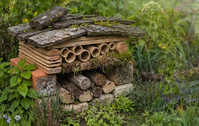 Naturnaher Unterschlupf aus Holz Rinde und Pflanzenstängeln im Garten; Thema Trauermücken, Schwerpunkt Pflanzenhilfe; Praxisalltag.