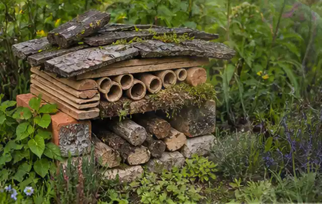 Naturnaher Unterschlupf aus Holz Rinde und Pflanzenstängeln im Garten; Thema Trauermücken, Schwerpunkt Saison; Ergebnis.