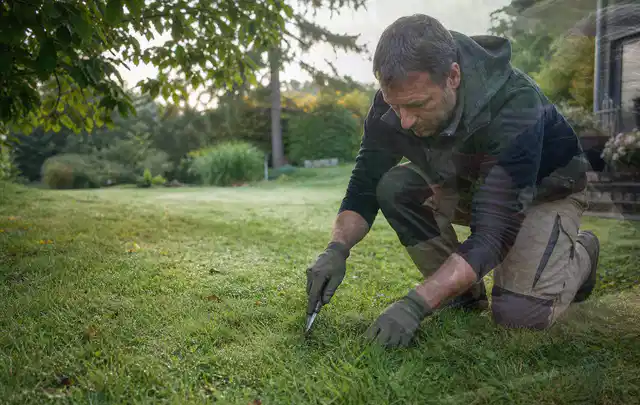 Person prüft den Boden einer gepflegten Rasenfläche im Garten; Thema Trockenrasen, Schwerpunkt Bewässerung; Ausgangslage.