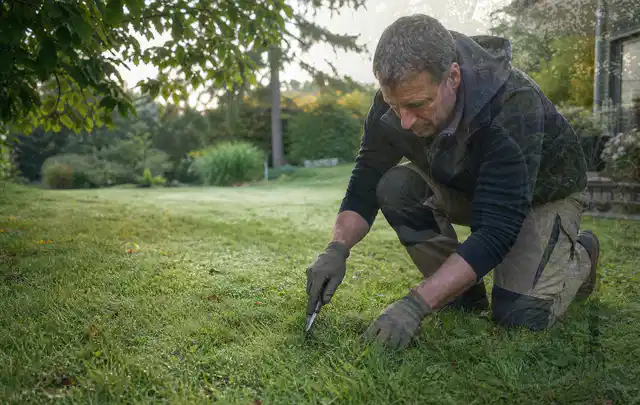 Person prüft den Boden einer gepflegten Rasenfläche im Garten; Thema Trockenrasen, Schwerpunkt Checkliste; Kontrolle.
