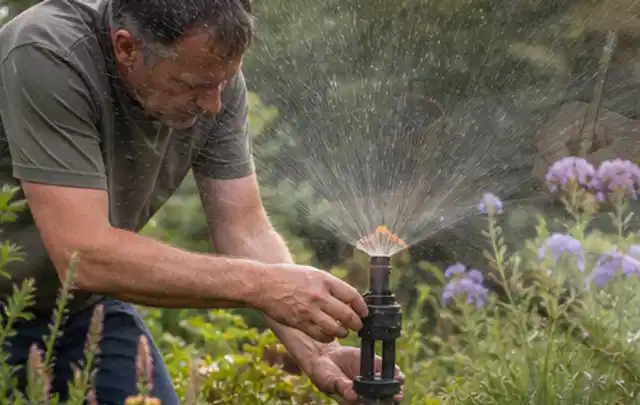 Person richtet einen laufenden Gartensprenger zwischen Stauden präzise aus; Thema Trockenrasen, Schwerpunkt Düngung; Umsetzung.