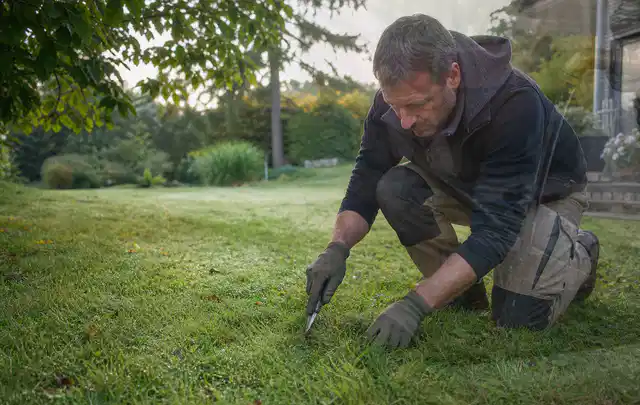 Person prüft den Boden einer gepflegten Rasenfläche im Garten; Thema Trockenrasen, Schwerpunkt Düngung; Ergebnis.