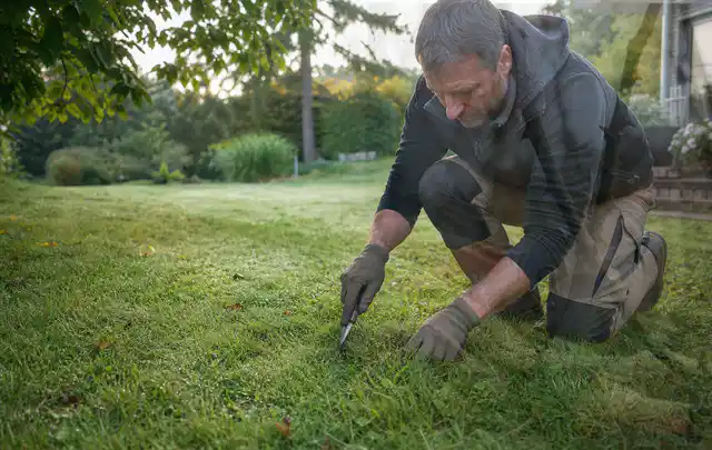 Person prüft den Boden einer gepflegten Rasenfläche im Garten; Thema Trockenrasen, Schwerpunkt Einsteigerwissen; Ergebnis.