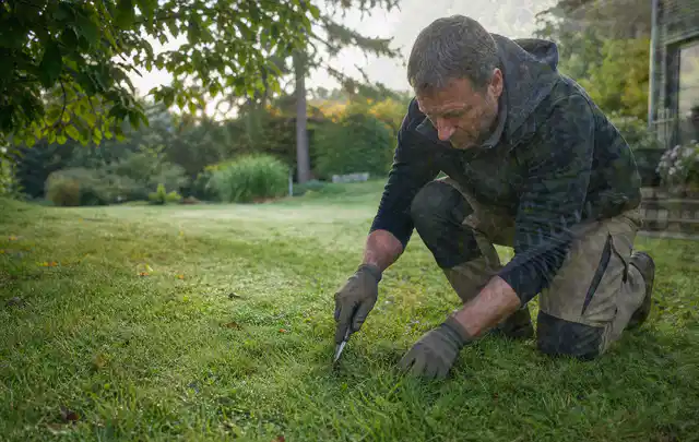 Person prüft den Boden einer gepflegten Rasenfläche im Garten; Thema Trockenrasen, Schwerpunkt Fehlerhilfe; Ergebnis.