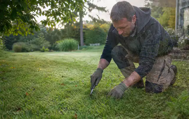 Person prüft den Boden einer gepflegten Rasenfläche im Garten; Thema Trockenrasen, Schwerpunkt Frühjahr; Ausgangslage.