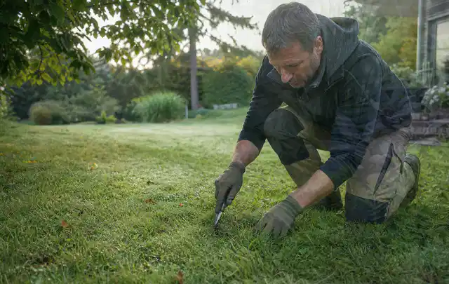 Person prüft den Boden einer gepflegten Rasenfläche im Garten; Thema Trockenrasen, Schwerpunkt Kosten; Umsetzung.
