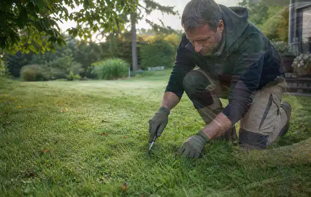 Person prüft den Boden einer gepflegten Rasenfläche im Garten; Thema Trockenrasen, Schwerpunkt Nachsaat; Praxisalltag.