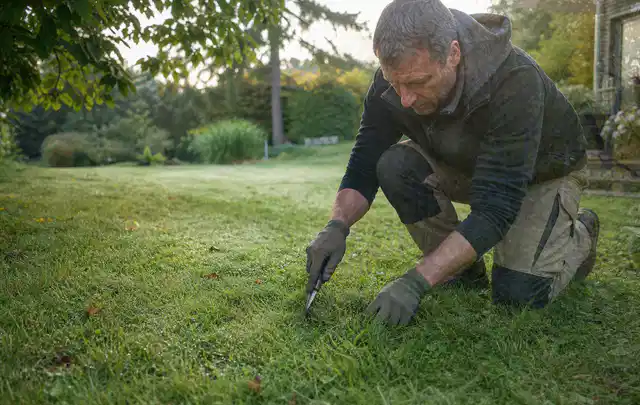 Person prüft den Boden einer gepflegten Rasenfläche im Garten; Thema Trockenrasen, Schwerpunkt Rasen; Kontrolle.