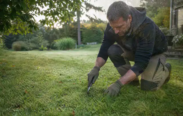 Person prüft den Boden einer gepflegten Rasenfläche im Garten; Thema Trockenrasen, Schwerpunkt Rasengesundheit; Kontrolle.
