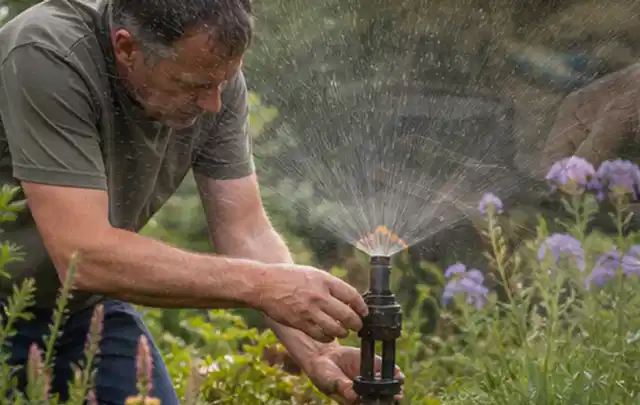 Person richtet einen laufenden Gartensprenger zwischen Stauden präzise aus; Thema Trockenrasen, Schwerpunkt Sommerpflege; Umsetzung.