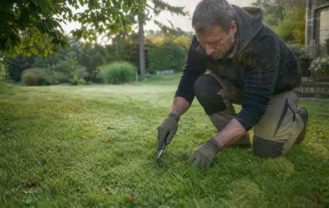 Person prüft den Boden einer gepflegten Rasenfläche im Garten; Thema Trockenrasen, Schwerpunkt Sommerpflege; Praxisalltag.