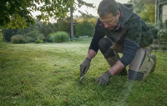 Person prüft den Boden einer gepflegten Rasenfläche im Garten; Thema Trockenrasen, Schwerpunkt Unkraut; Kontrolle.