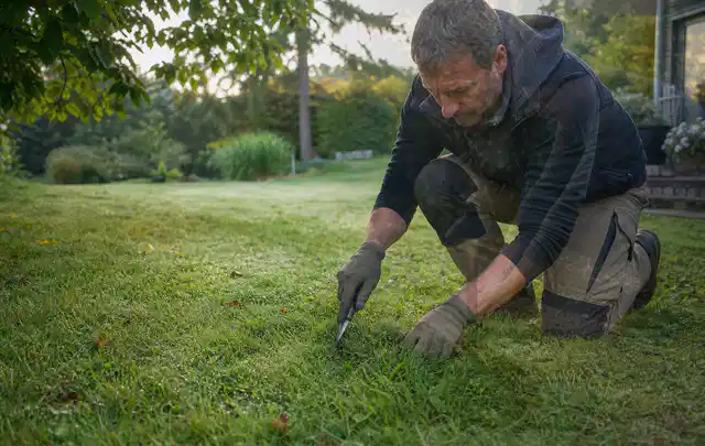 Person prüft den Boden einer gepflegten Rasenfläche im Garten; Thema Trockenrasen, Schwerpunkt Vertikutieren; Kontrolle.