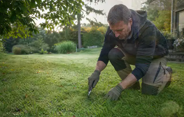 Person prüft den Boden einer gepflegten Rasenfläche im Garten; Thema Trockenrasen, Schwerpunkt Winterpflege; Umsetzung.