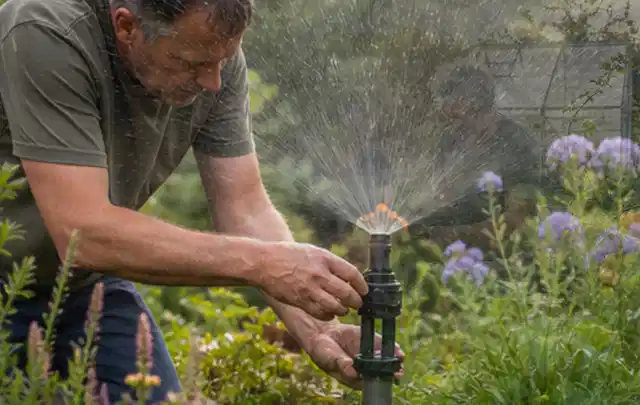 Person richtet einen laufenden Gartensprenger zwischen Stauden präzise aus; Thema Tropfbewässerung, Schwerpunkt Reinigung; Umsetzung.