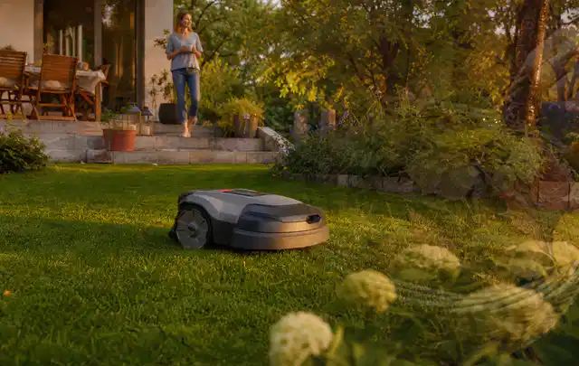 Mähroboter fährt am Abend über einen Rasen im Familiengarten; Thema Vergleich, Schwerpunkt Mähroboter; Kontrolle.