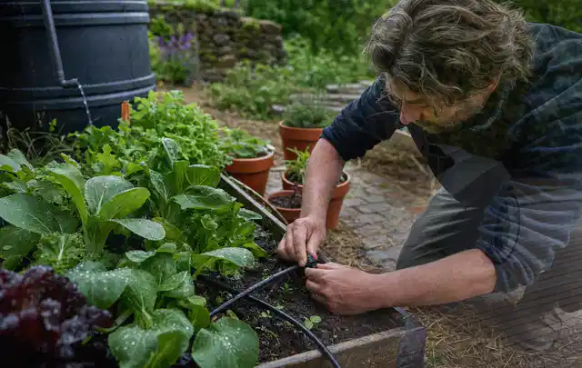 Person stellt die Bewässerung an einem bepflanzten Hochbeet ein; Thema Versenkregner, Schwerpunkt Anwendung; Praxisalltag.