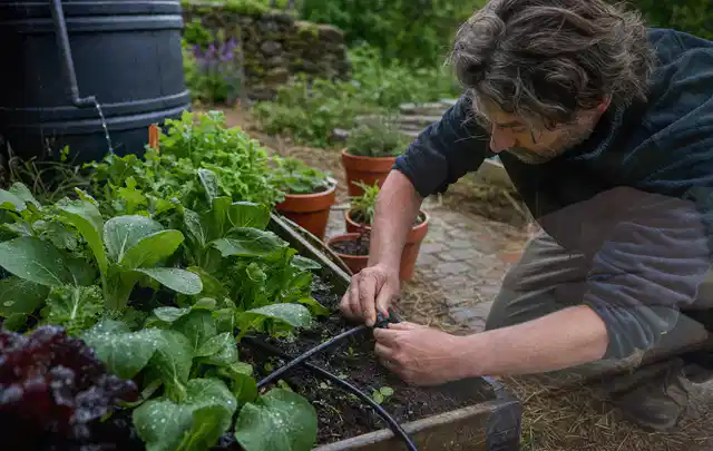 Person stellt die Bewässerung an einem bepflanzten Hochbeet ein; Thema Versenkregner, Schwerpunkt Testkriterien; Ausgangslage.