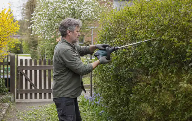 Person schneidet eine Gartenhecke mit einem motorisierten Gartengerät; Thema Vertikutierer, Schwerpunkt Anwendung; Ausgangslage.