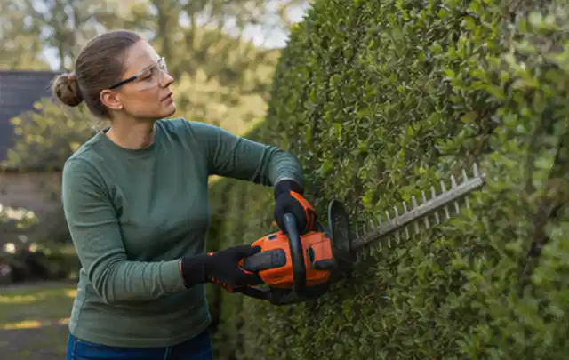 Person schneidet eine dichte Gartenhecke mit Schutzbrille und sicherem Stand; Thema Vertikutierer, Schwerpunkt Anwendung; Ergebnis.