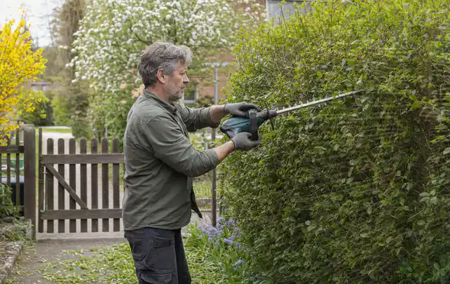 Person schneidet eine Gartenhecke mit einem motorisierten Gartengerät; Thema Vertikutierer, Schwerpunkt Bestenliste; Praxisalltag.