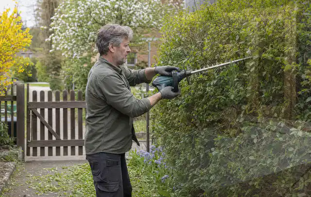 Person schneidet eine Gartenhecke mit einem motorisierten Gartengerät; Thema Vertikutierer, Schwerpunkt Checkliste; Umsetzung.