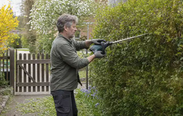 Person schneidet eine Gartenhecke mit einem motorisierten Gartengerät; Thema Vertikutierer, Schwerpunkt Dimensionierung; Umsetzung.