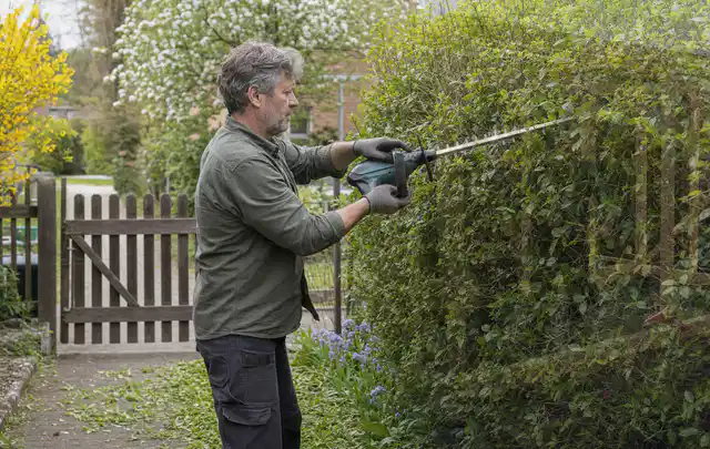 Person schneidet eine Gartenhecke mit einem motorisierten Gartengerät; Thema Vertikutierer, Schwerpunkt Ersatzteile; Kontrolle.