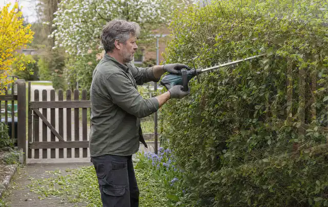 Person schneidet eine Gartenhecke mit einem motorisierten Gartengerät; Thema Vertikutierer, Schwerpunkt Fehlerhilfe; Kontrolle.
