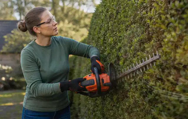 Person schneidet eine dichte Gartenhecke mit Schutzbrille und sicherem Stand; Thema Vertikutierer, Schwerpunkt Fehlerhilfe; Ergebnis.
