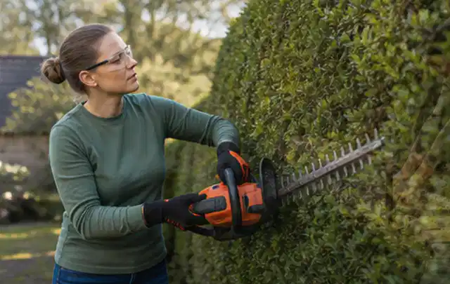 Person schneidet eine dichte Gartenhecke mit Schutzbrille und sicherem Stand; Thema Vertikutierer, Schwerpunkt Gärten mit großer Fläche; Ausgangslage.
