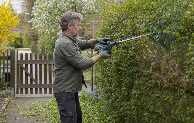 Person schneidet eine Gartenhecke mit einem motorisierten Gartengerät; Thema Vertikutierer, Schwerpunkt Gärten mit großer Fläche; Praxisalltag.