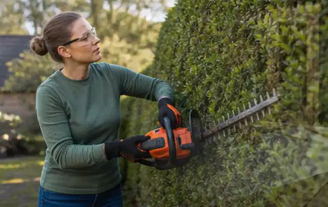 Person schneidet eine dichte Gartenhecke mit Schutzbrille und sicherem Stand; Thema Vertikutierer, Schwerpunkt Gärten mit kleiner Fläche; Ausgangslage.