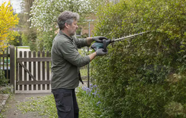 Person schneidet eine Gartenhecke mit einem motorisierten Gartengerät; Thema Vertikutierer, Schwerpunkt Gärten mit kleiner Fläche; Kontrolle.