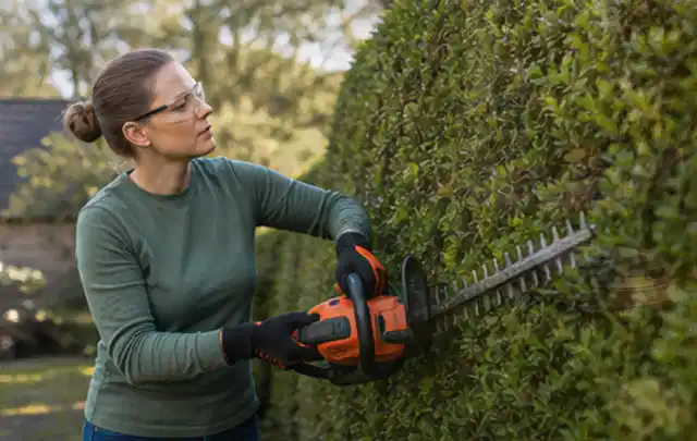 Person schneidet eine dichte Gartenhecke mit Schutzbrille und sicherem Stand; Thema Vertikutierer, Schwerpunkt Gartengeräte; Ergebnis.